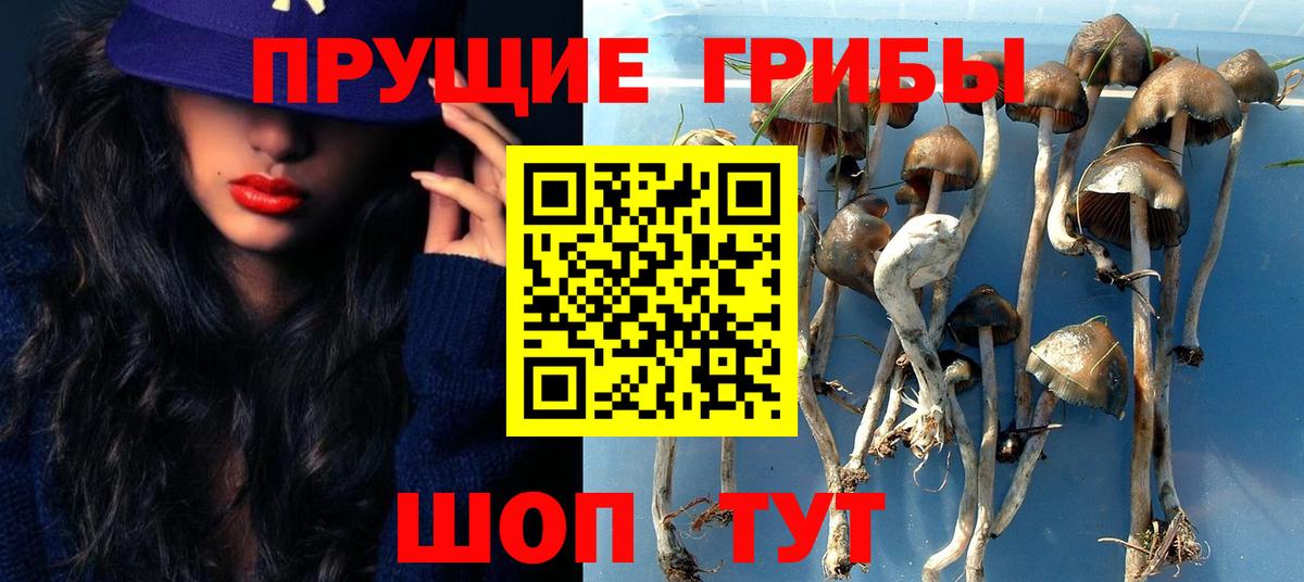 Псилоцибиновые грибы прущие грибы Орехово-Зуево